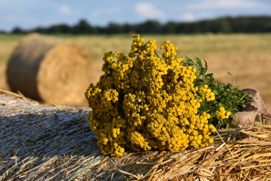 Natur- & Erlebnistouren