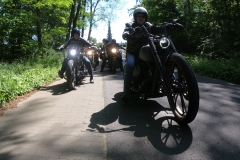Seen-Run durch die Landschaft der Mecklenburgichen Seenplatte mit Zwischenstopps in der Inselstadt Malchow, Plau am See, Röbel, Mirow, Neustrelitz und der mittelalterlichen Hexenstadt Penzlin